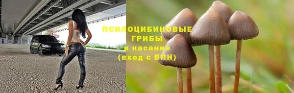хмурый Белоозёрский