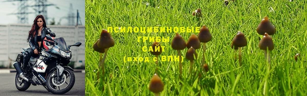 каннабис Белокуриха