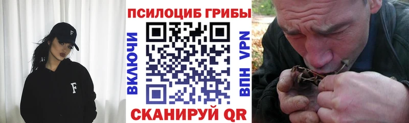 Псилоцибиновые грибы мухоморы  Болохово 