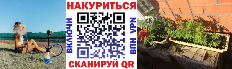 Бошки марихуана AK-47  купить закладку  Болохово 